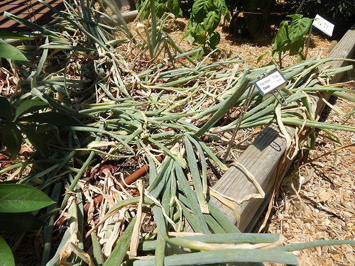 35922871395_11255b89b5