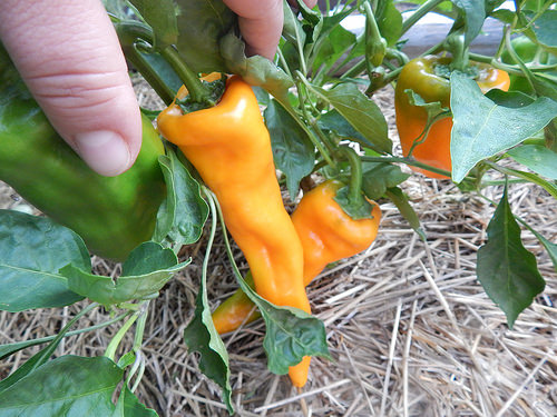 36347302251_1be3136a3a