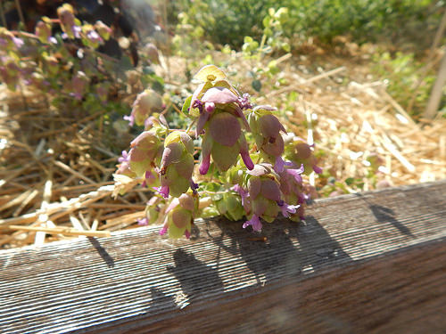 41689408495_a3f8589ae2