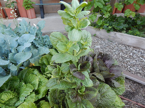 41689412315_4235424418