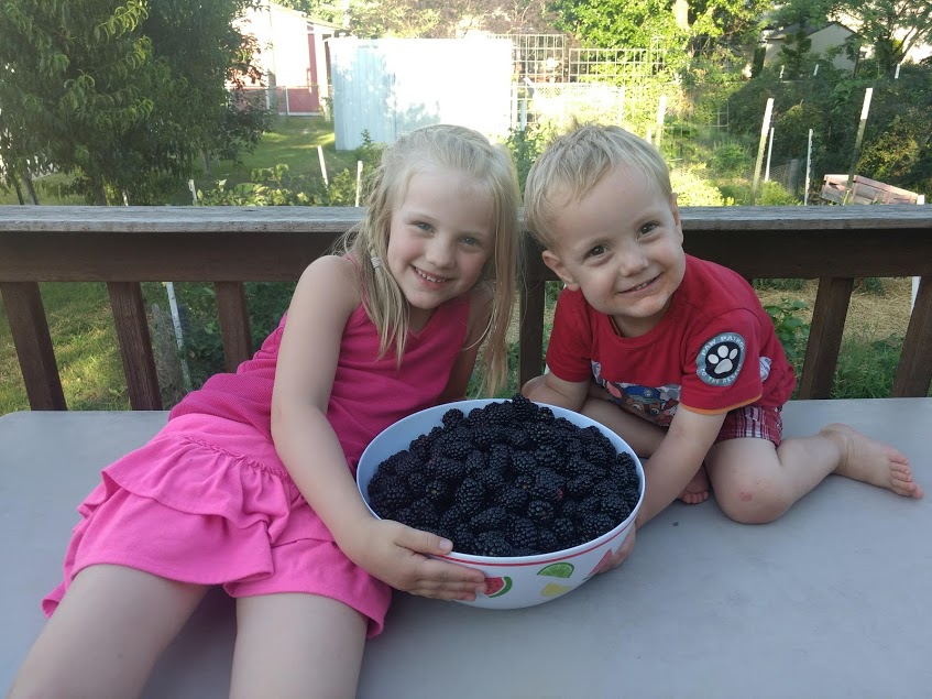 Kids with bowl of blackberries