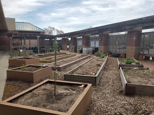 49813022538_4a9e22a359