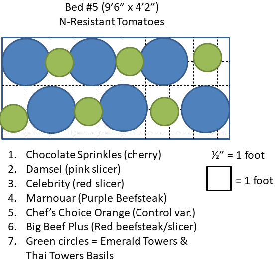 A Closer Look: Bed 5&nbsp;Plans