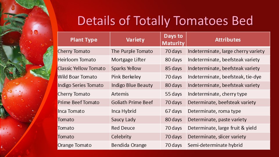 A Closer Look at Totally Tomatoes (Bed #4) – The Demo Garden Blog